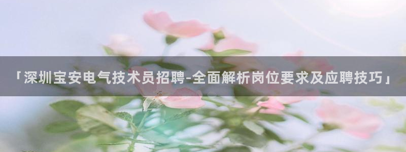 凯发线上官方网站下载网址：「深圳宝安电气技术员招聘